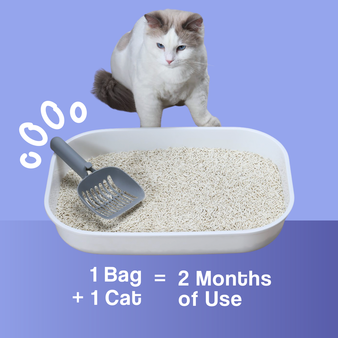 Dofu Cat Tofu Spa Litter - Botanicals in Bloom
