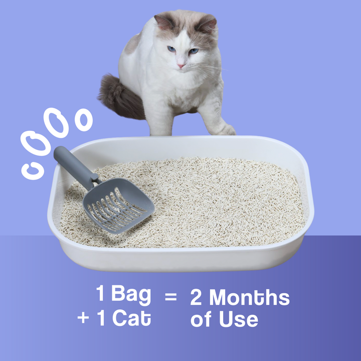 Dofu Cat Tofu Spa Litter - Botanicals in Bloom