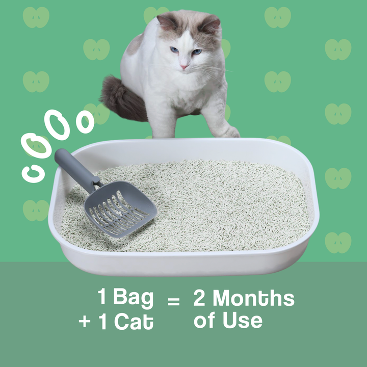 Dofu Cat Tofu Spa Litter - Apple