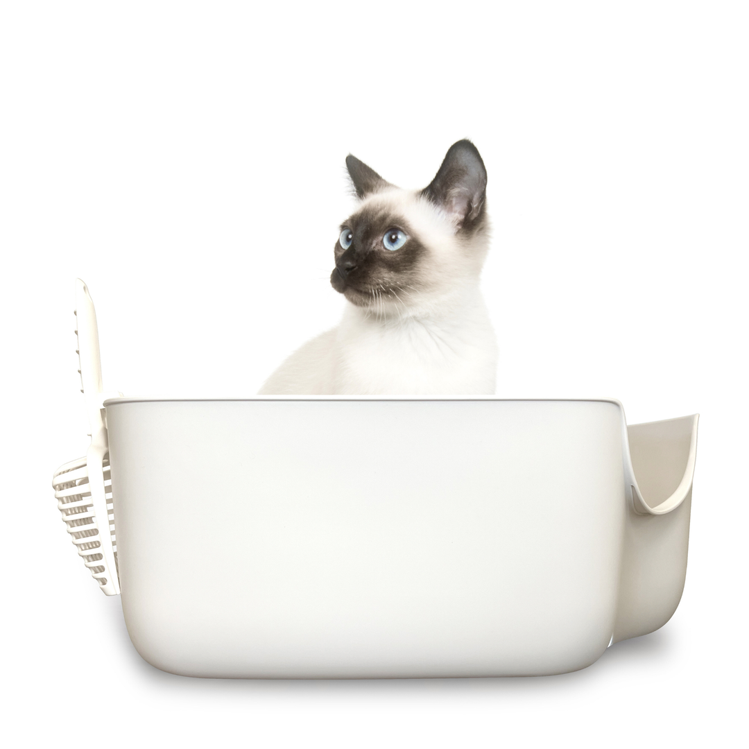 XL High Wall Litter Box