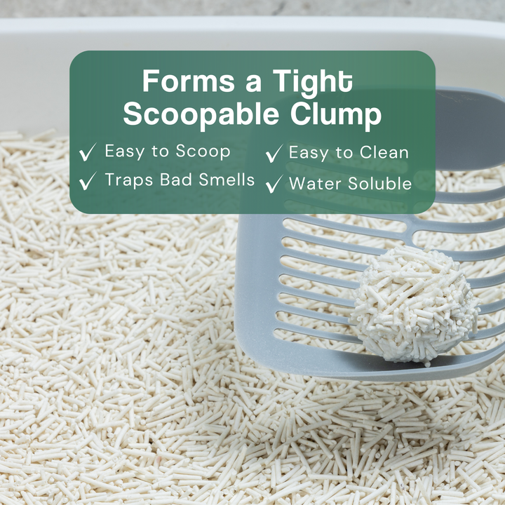 Dofu Cat Tofu Spa Litter - Apple