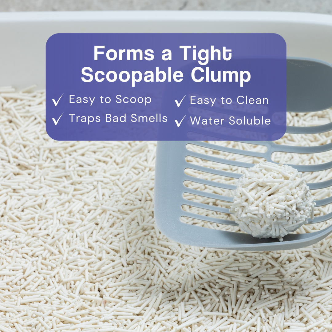 Dofu Cat Tofu Spa Litter - Botanicals in Bloom