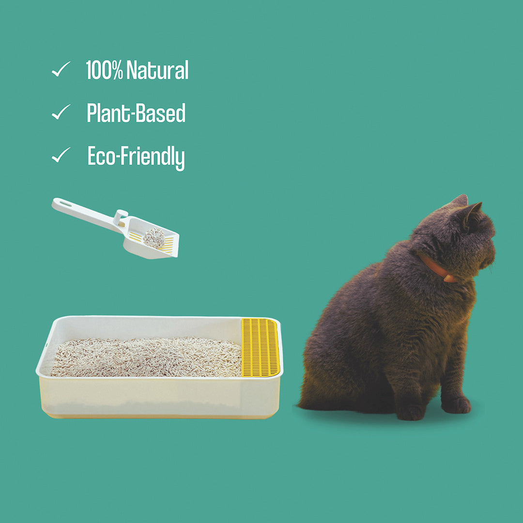 Dofu Cat Cereal Litter | 2.5 kg