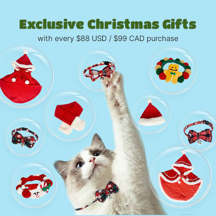 Mystery Christmas Gifts