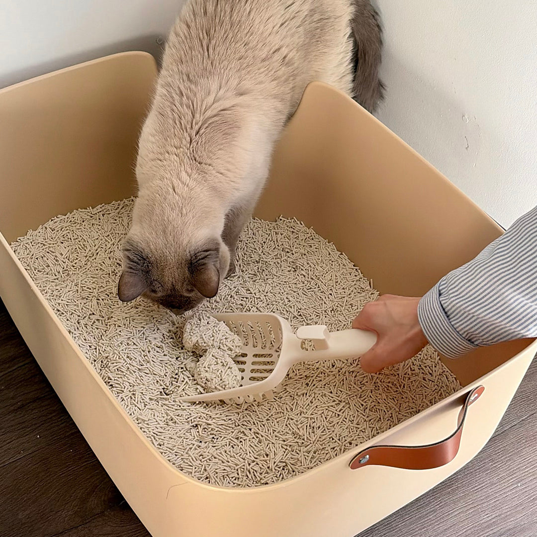 XL High Wall Litter Box
